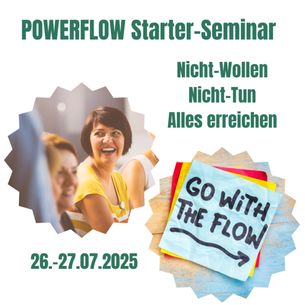 PowerFlow Juli 2025
