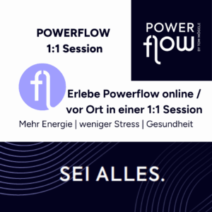 PowerFlow Expert Sitzung